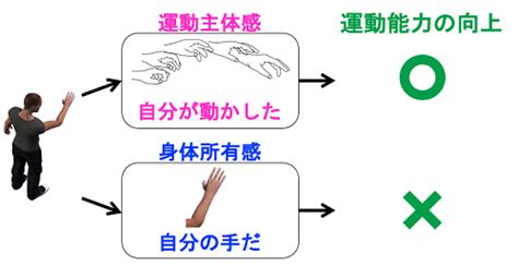 自己行為|自己主体感における自己行為の予測と結果の ...